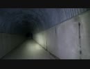 【心霊気違】山神トンネル