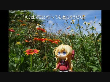 ニート、旅をする【75日目】