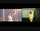 【自分用】ParadiseLostを合わせてみた
