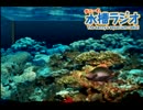 【実況】　思うがままに楽しむ！ぬし釣り６４～潮風にのって～　反省会