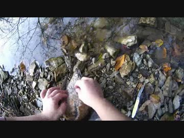 カモ猟part3　新米猟師ハンターライフ【散弾銃】