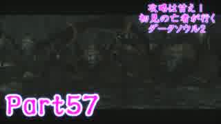 【実況】攻略は甘え！初見の亡者が行くダークソウル2【DarkSoulsII】part57