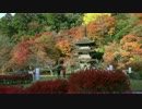 (4K)京都(宮津・舞鶴)の紅葉【2014/11/16】