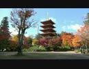 京都(宮津・舞鶴)の紅葉【2014/11/16】