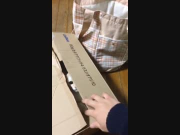 箱を全力で閉めようとする猫にゃん