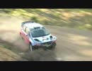 WRC 2014 クラッシュ集 後半戦