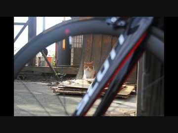 【自転車】剱埼灯台サイクリングロケ