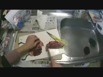 カモ猟part5　新米猟師ハンターライフ【散弾銃】