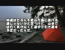 【ゆっくり怪談】丹沢湖【怖い話】