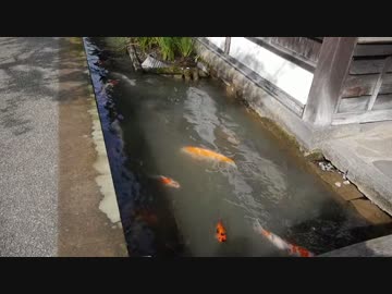 だいたい日本一周鉄道旅　part12（島根・山口）