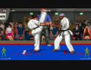 Karate Master 2 （空手マスター2） プレイ動画