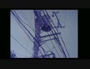 或る8mmの風景