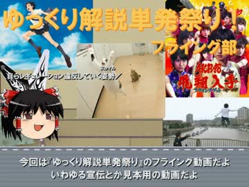 【ゆっくり解説単発祭り】シフォン主義のシフォンケーキ【フライング部