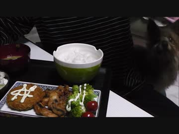 揚げ物