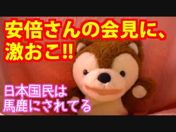 安倍さんの会見に、激おこ！　国民は馬鹿にされてる【どうぶつさん】
