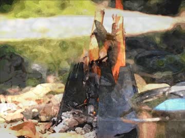 野良猫式　ジョニーの旅日記　第三話　キャンプに行きたくなった話