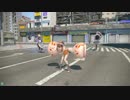 ヤりすぎぃっ！(´・ω・｀) PART4