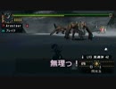 【MHP2G】ひよっこガンナー日記～いつもポッケに弾倉を～【Part11】