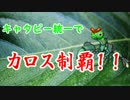 【ポケモンXY】キャタピー統一でカロス制覇！！part1【縛り実況】