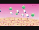 癌と戦う 水素とは 11/30 最先端テクノロジーを学ぶセミナー紹介動画