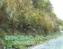 孤独男が行く国道352号線パート2