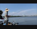 【かーびーの釣り日記】番外編 なんぴさんとオマケのサヨリ釣り