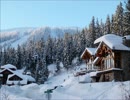 【歌ってみた】悲しみは雪のように
