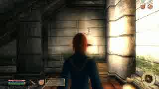 【OBLIVION】ミニマム勇者の冒険記番外編 Origin of the Mages Guildその１