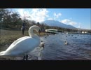 富士山を見に行ってきた Digest Ver.