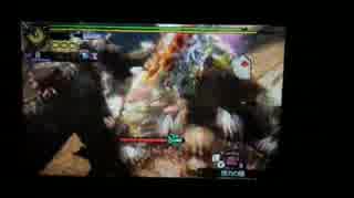MH4G【村最終:師匠からの試練】操虫棍6分30’90