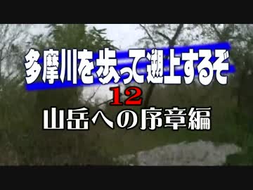 【ゆっくり旅行】多摩川を歩って遡上するぞ12【山岳への序章偏】