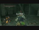【実況プレイ】ホラー嫌いのダークソウル2DLC part2
