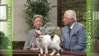 にゃーにゃまとめ2014.11.22