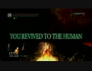 【実況】DARK SOULS　亡者達に騎士の名誉を【54】