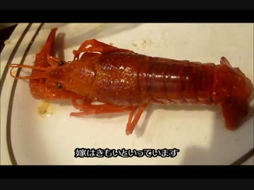 アメリカの食卓 389 ケイジャン料理店でザリガニを食す！