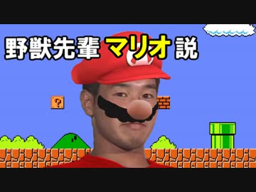 野獣先輩マリオ説.luigi