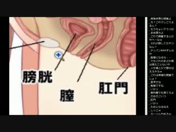 14.11.22 永井先生 性教育