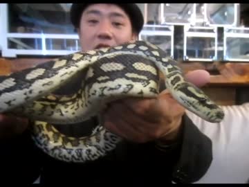 ヘビカフェ『東京スネークセンター』で蛇を首に巻いて来ました☆