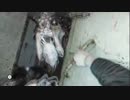 【メトロ2033】メトロリダックスを二人で実況 part.5