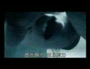 麻坡的華語