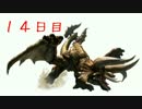 【MHP2G】G級目指して狩人生活：14-1日目【鶏】