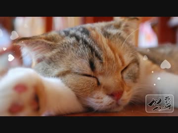 第３回かくていラジオ①