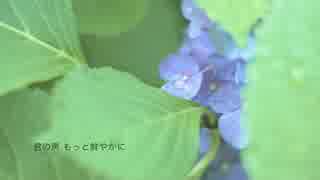 【初音ミクオリジナル】ふたりの花