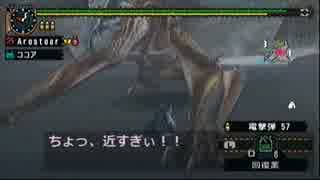 【MHP2G】ひよっこガンナー日記～いつもポッケに弾倉を～【Part12】