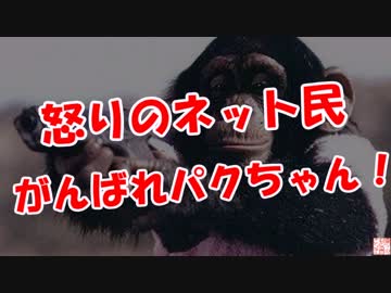 【怒りのネット民】 がんばれパクちゃん！