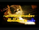 【ゆき雪＊】PONPONPON -acoustic guitar.ver-   歌ってみた【試唱】