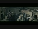 Strangers To Wolves - Scarlet