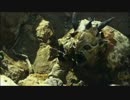 【サバイバー】(吹き替え) ③