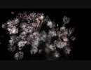 2014.11.23 長野えびす講　13～15