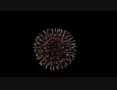 2014.11.23 長野えびす講 1.第23回全国十号玉 新作花火コンテスト ③